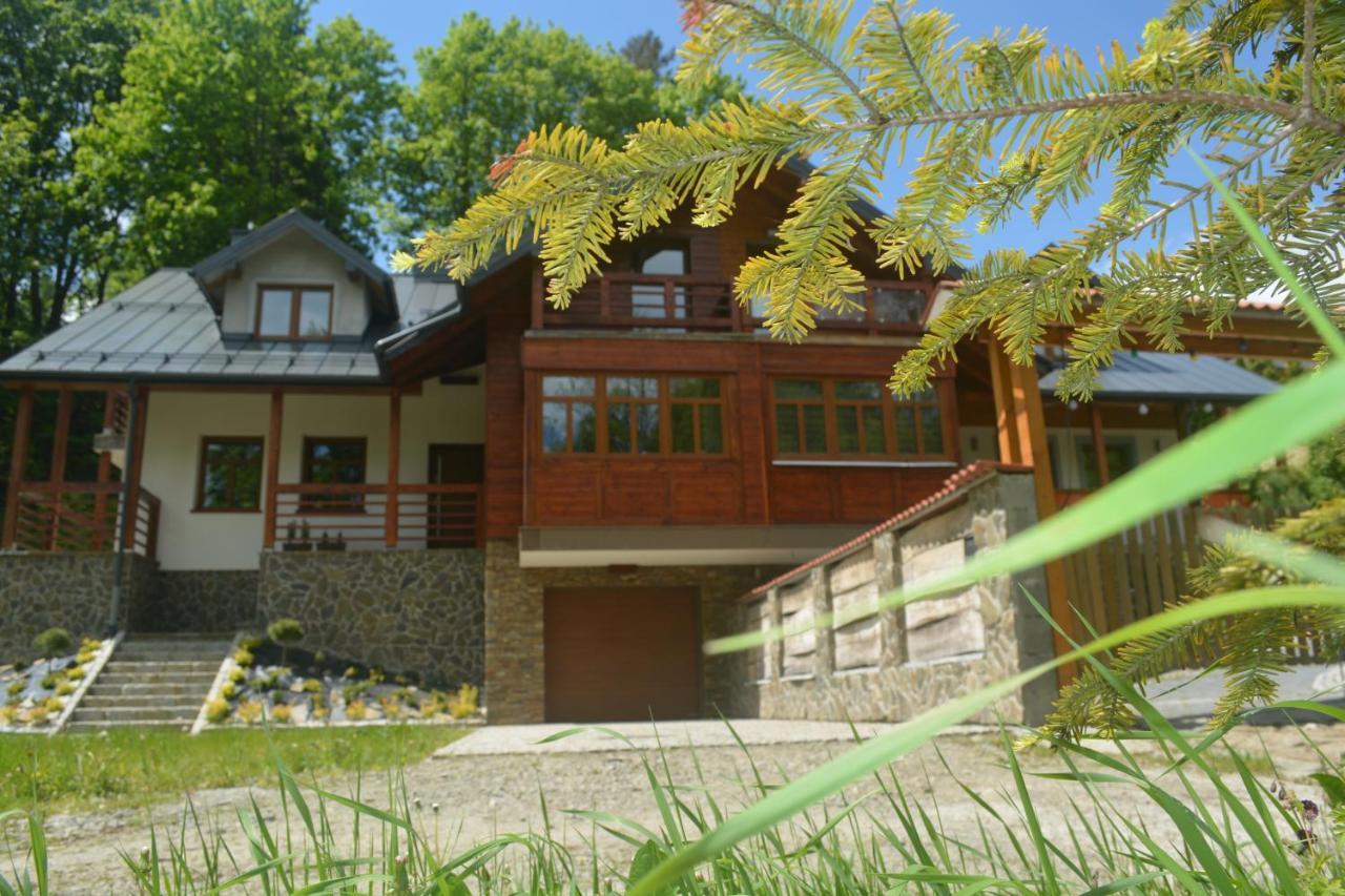 Domek Nad Kryniczanka Krynica Zdroj Dış mekan fotoğraf