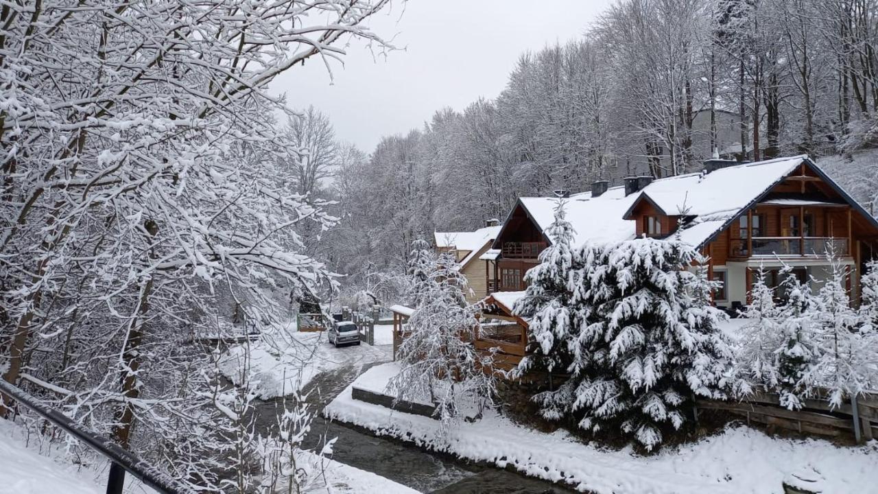 Domek Nad Kryniczanka Krynica Zdroj Dış mekan fotoğraf